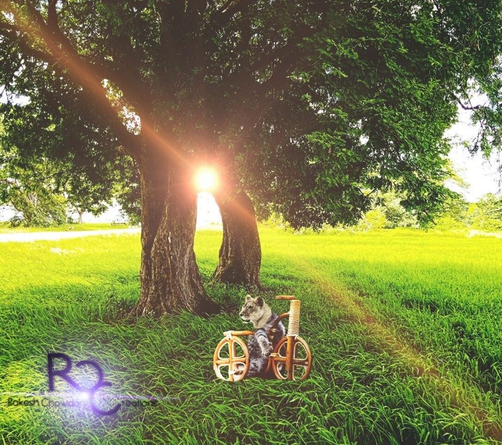 nature