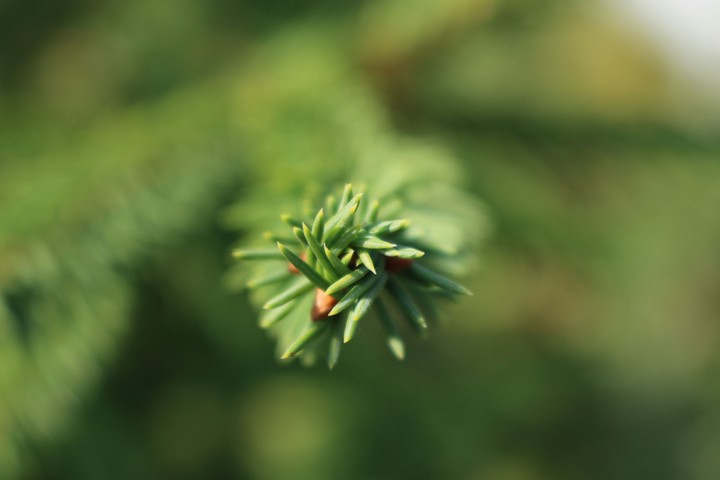 41