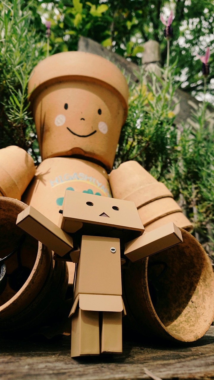 DANBOARD