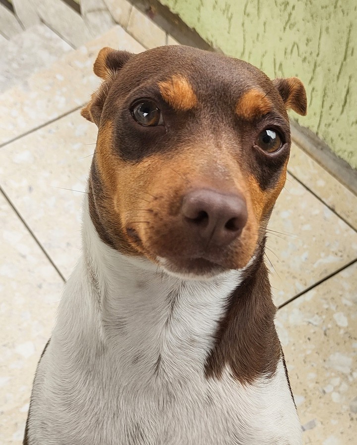 Yumi - São Paulo - BRAZIL