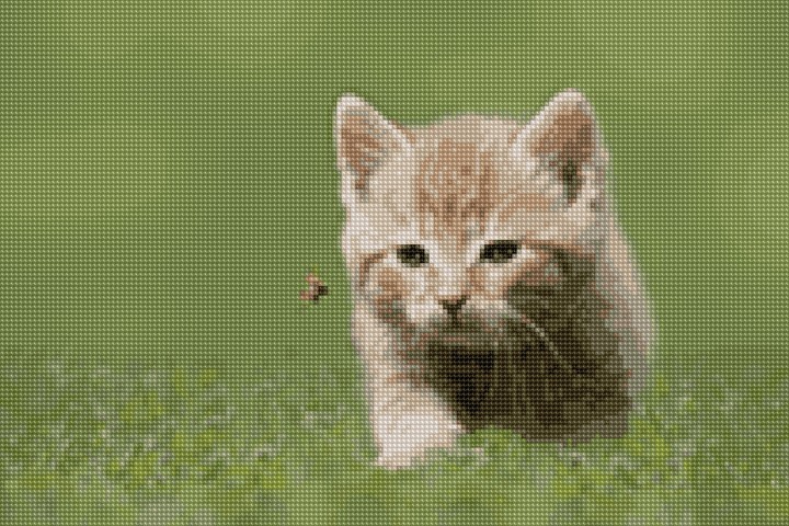get that bug
