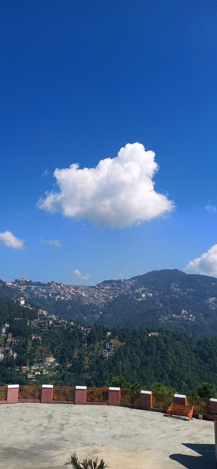 Shimla