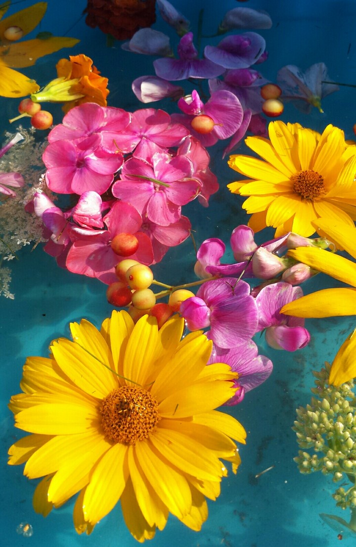 flowers