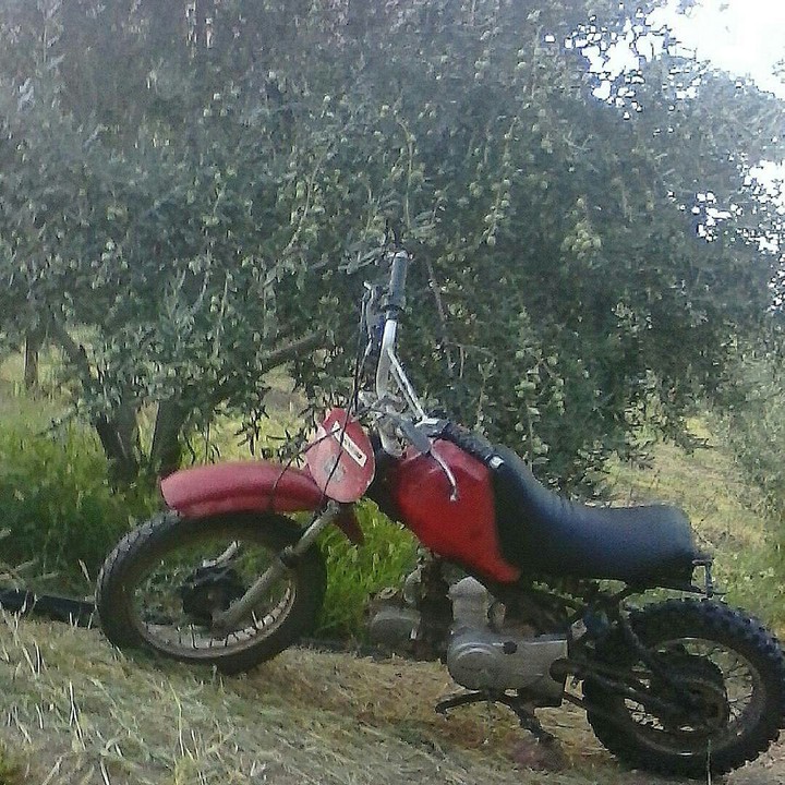 my motor that is little but is very strong