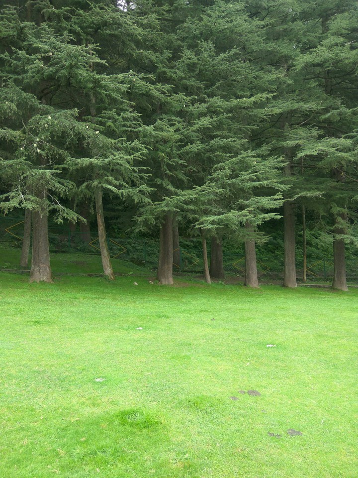 khajjiar