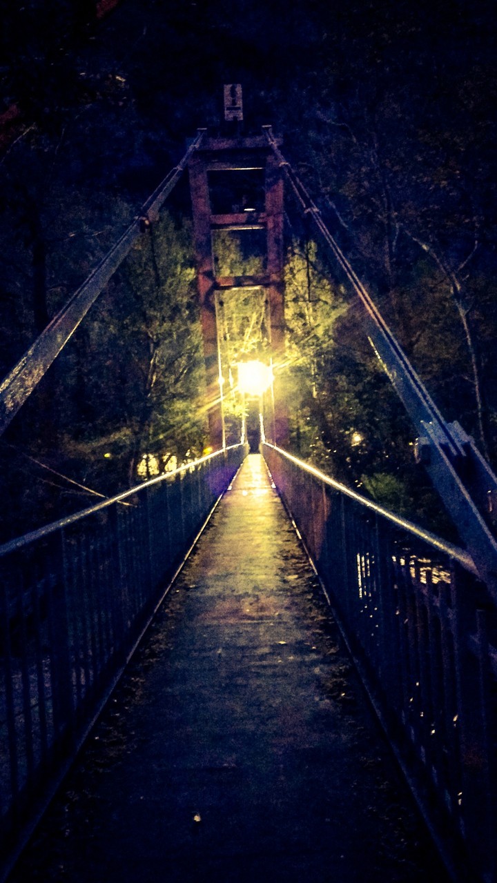 into_the_light