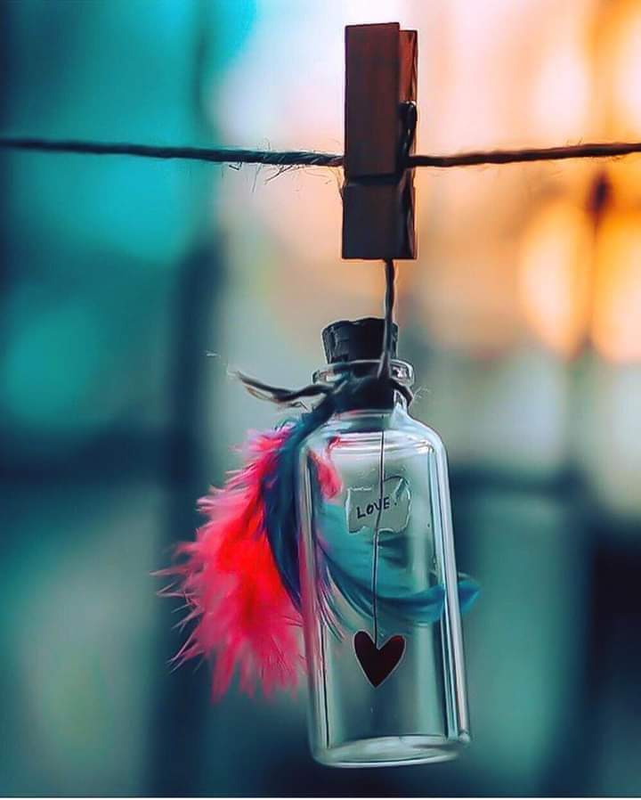 love