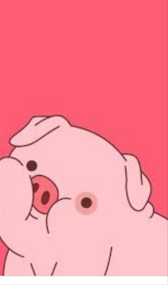 pig