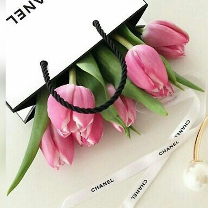tulipanes