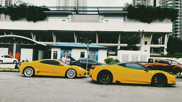 Yellowish Life 