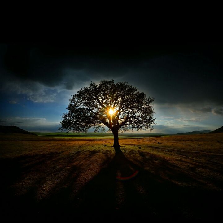 Natur