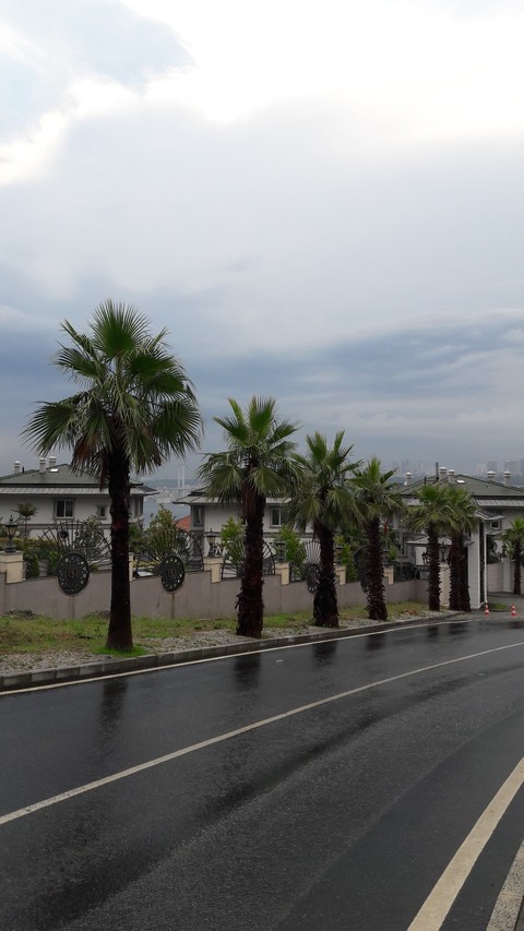 Street