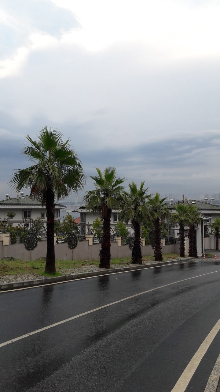 Street