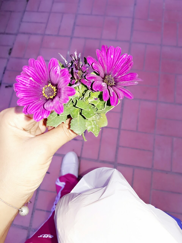 Flowers tell emotions.