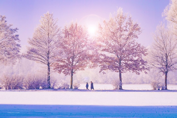 winter
