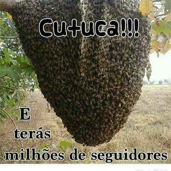 pois
