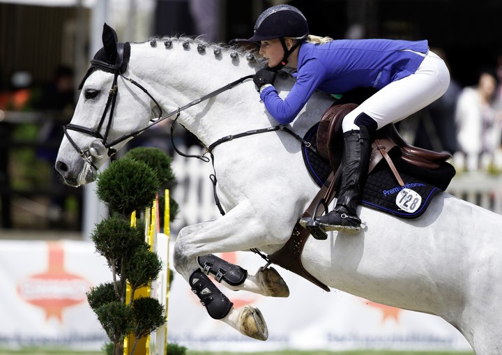 Equestrian Sport - Show Jumping