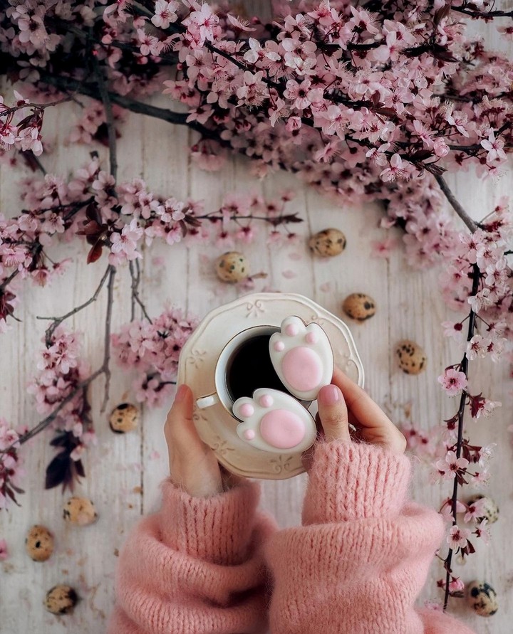 ❇️☕❇️