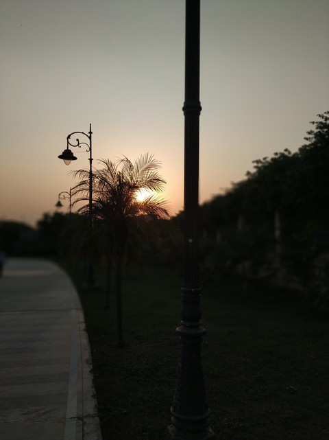 lovely