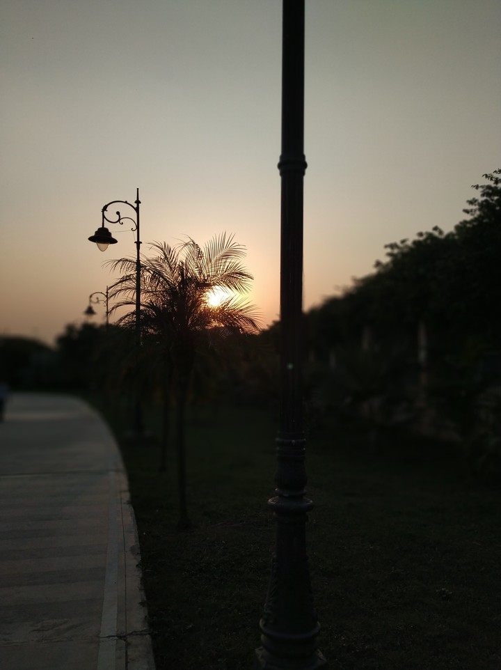 lovely