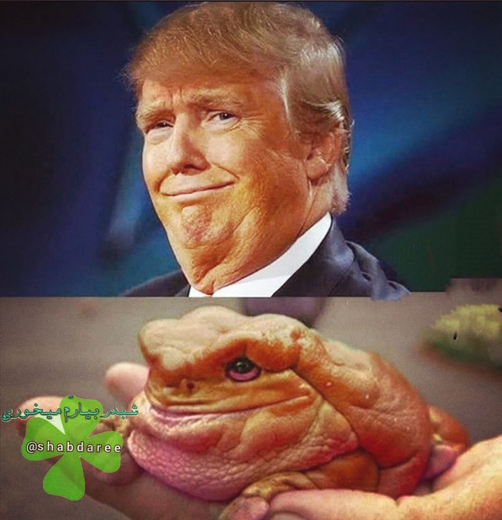 Too similar 