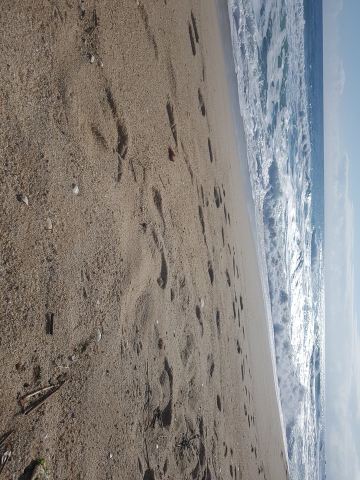 바다