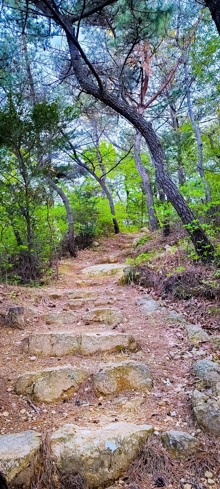 멧길