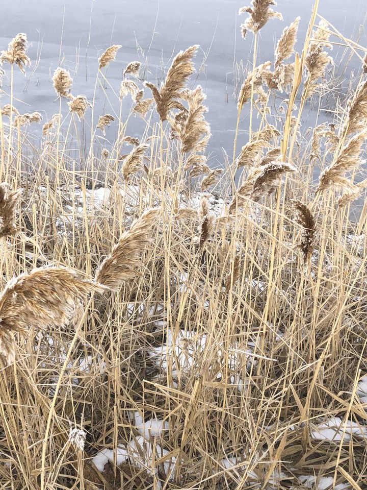 winter