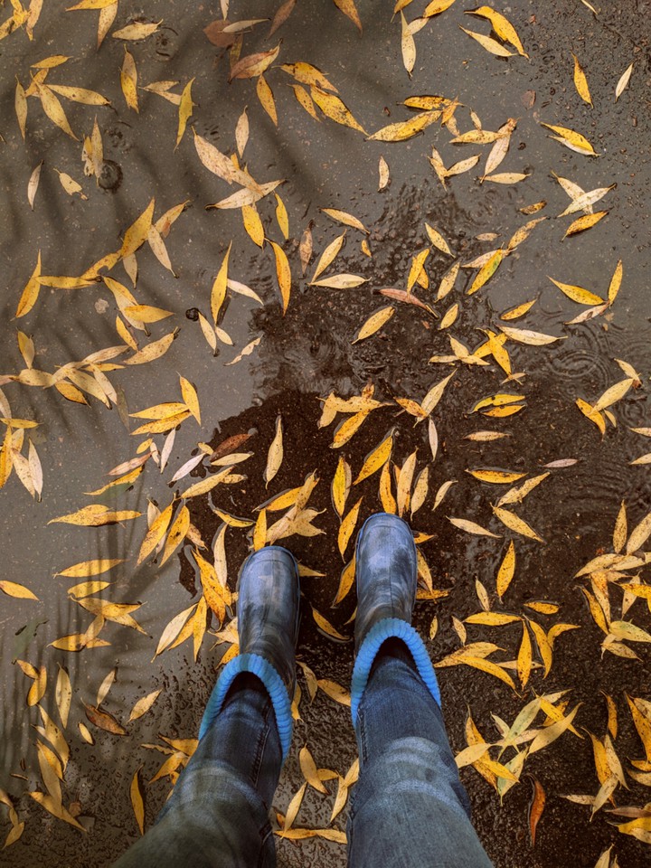autumn