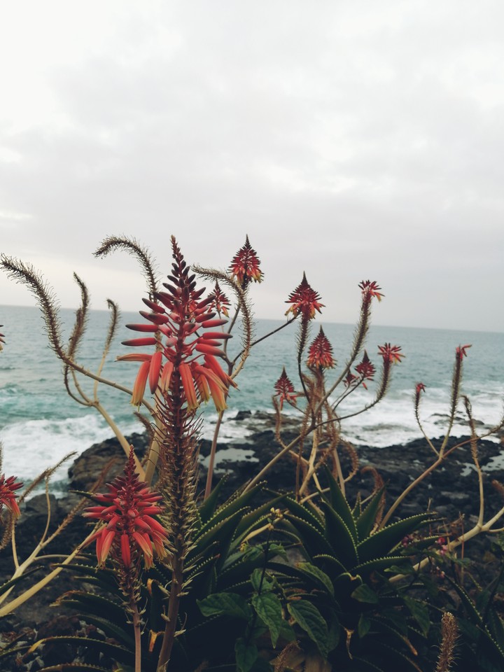 Tenerife,Spain