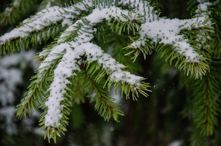 Winter world