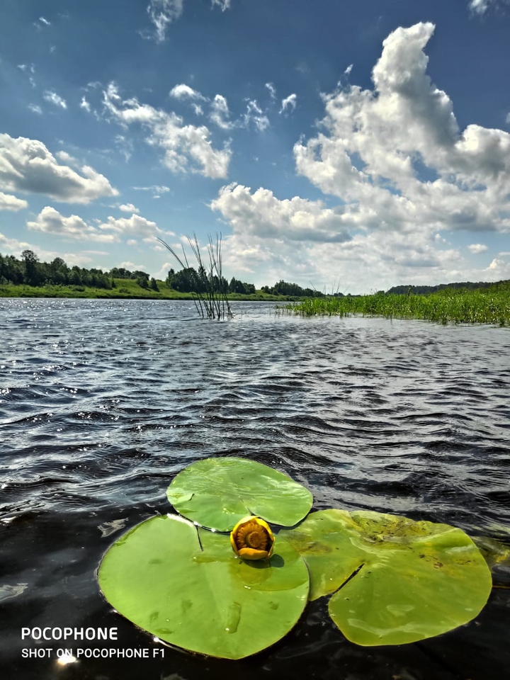 Волга