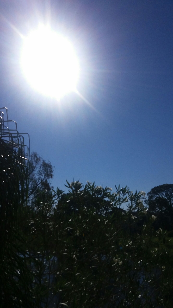 beautiful morning 4
