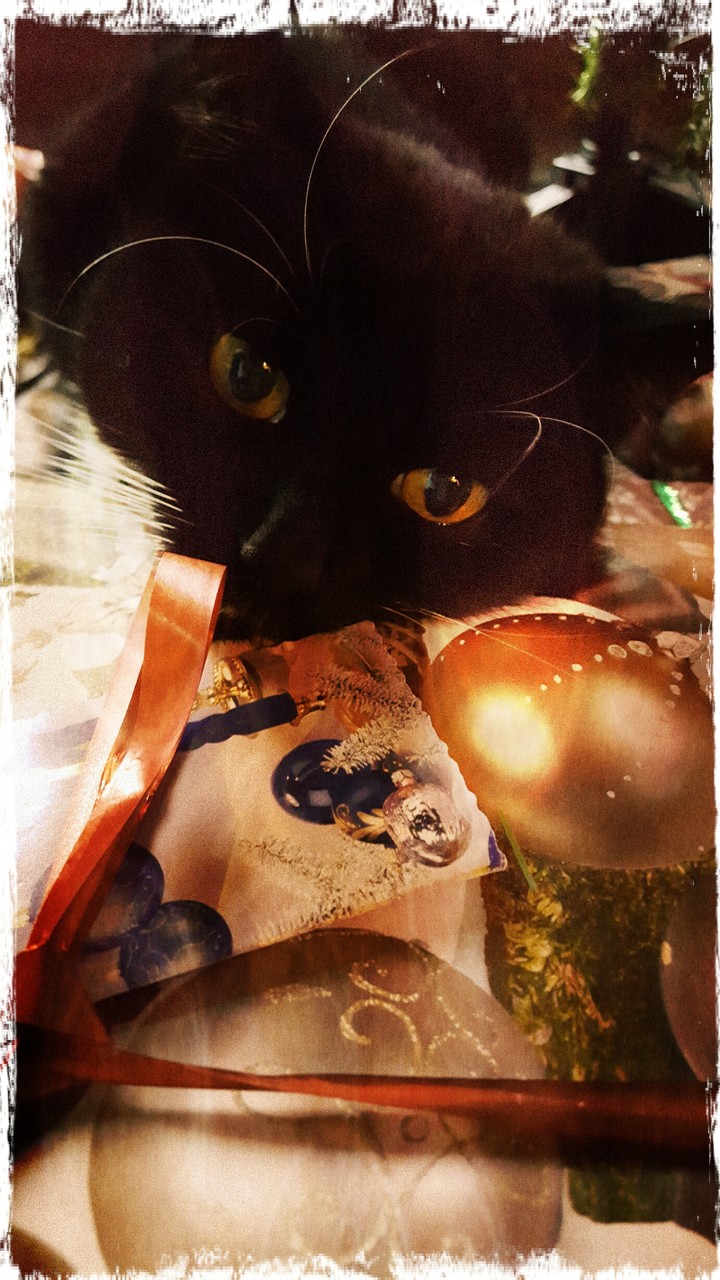 Christmas