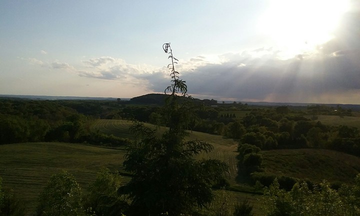The beautiful green, will soon be gone.