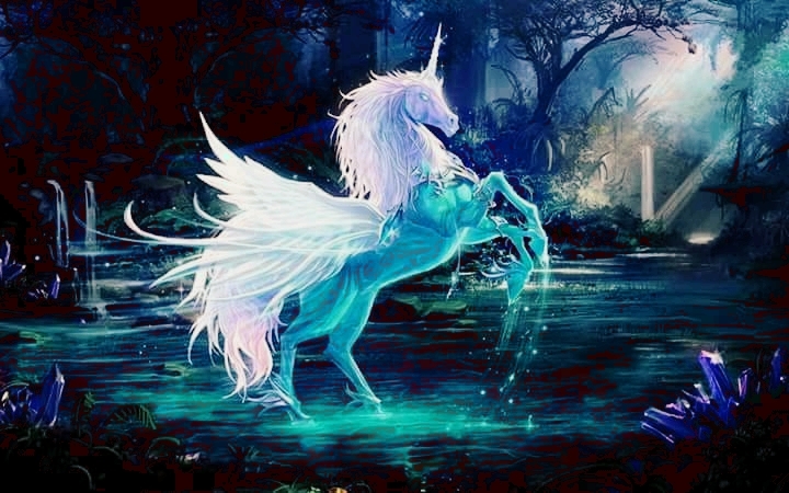 ponyyyy