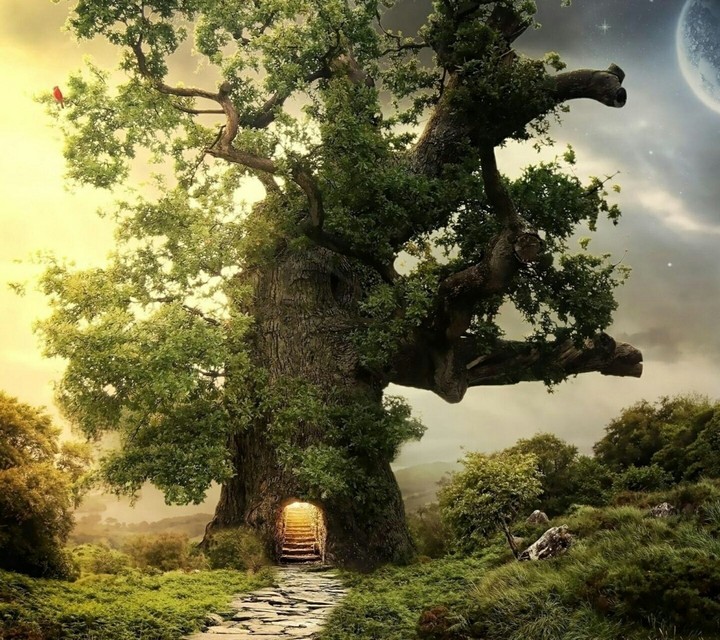 Tree Fantasy