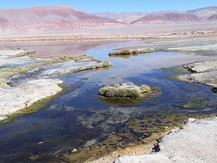 Campo Piedra Pómez