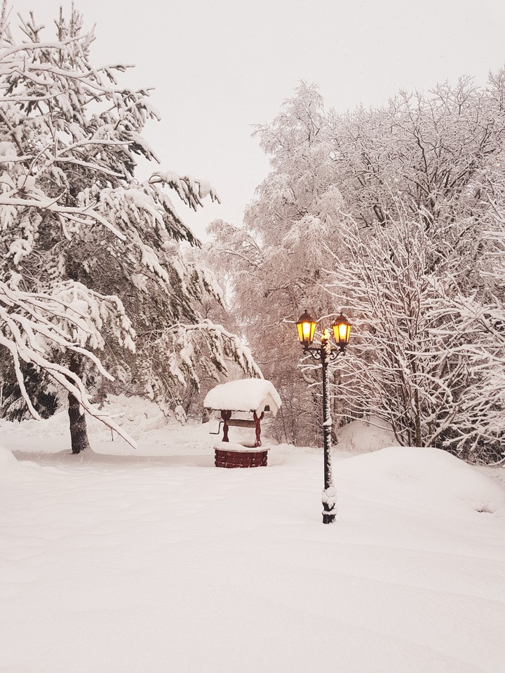 Winter wonder land