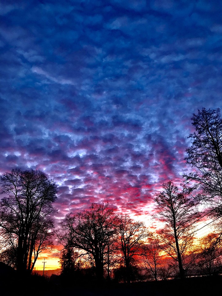 dawn, nature