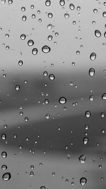 pearls of water