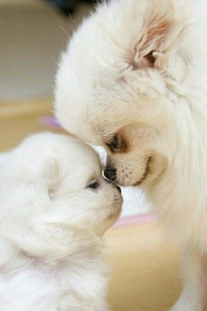 real love