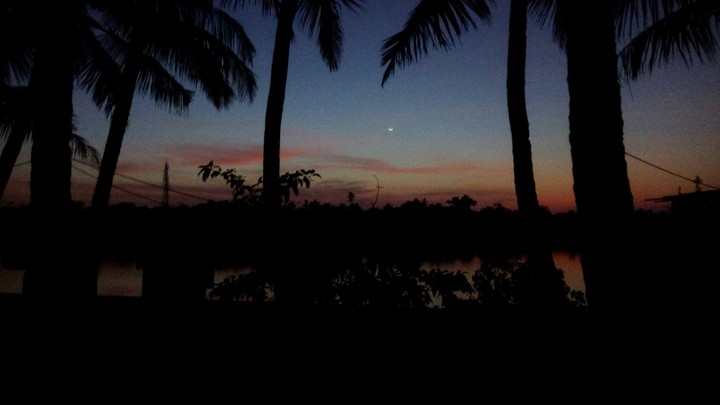 blue evenings