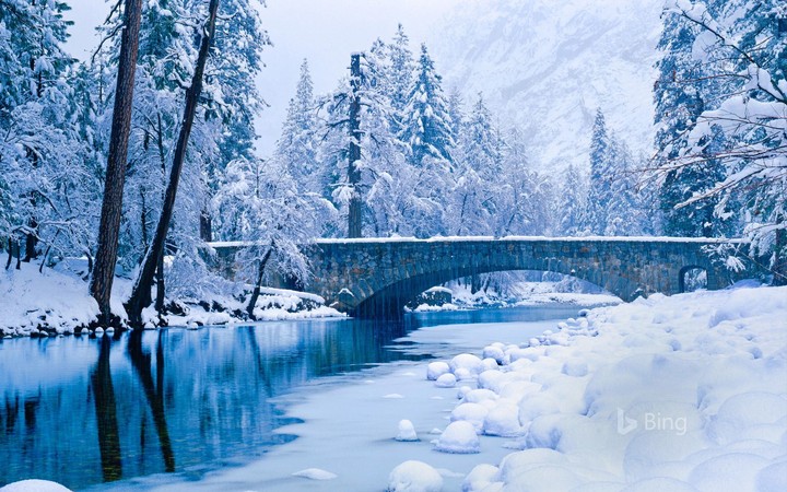 Ice