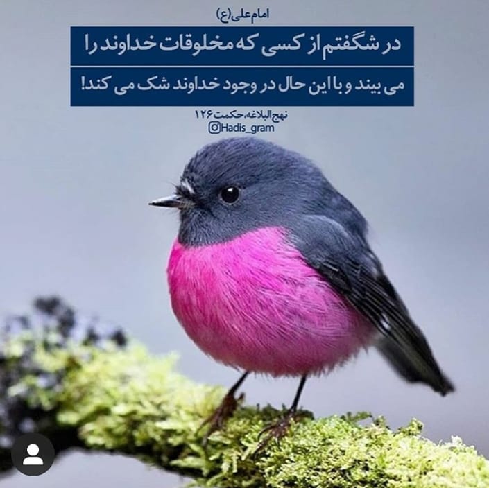 حدیث بندگی