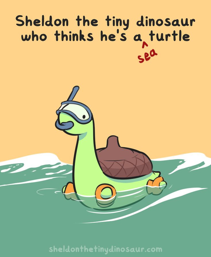 Sheldon thinks he's a sea turtle
