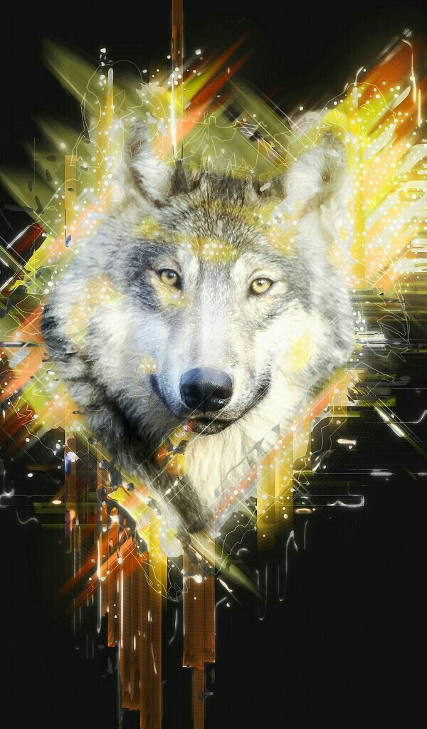 wolf