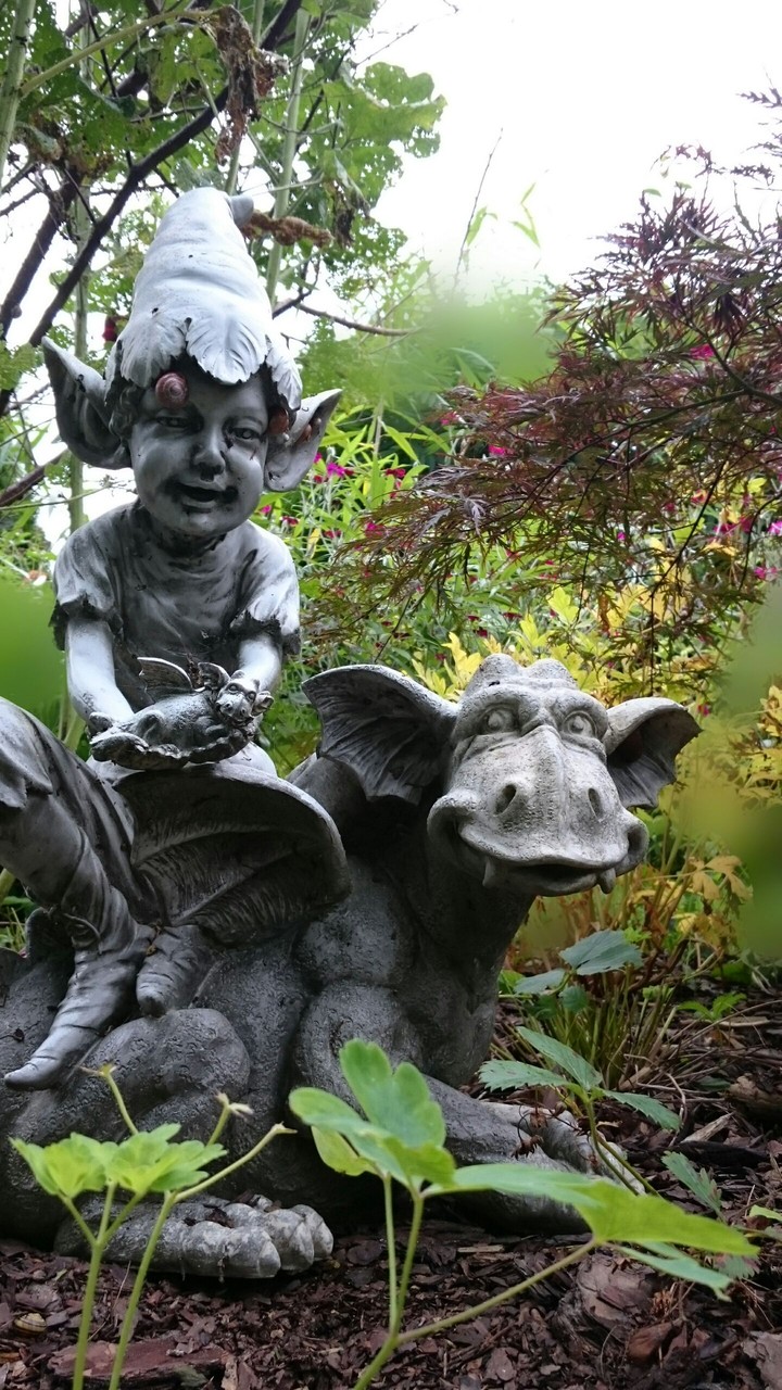 Fairy Garden