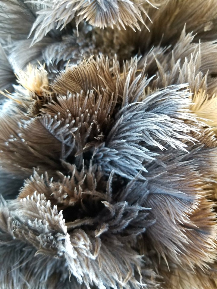 winter fluf