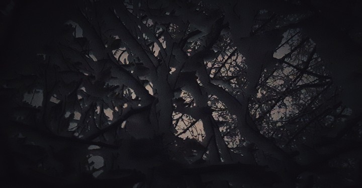 Branch. Lithuania
